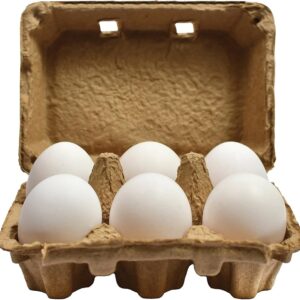 nature good white eggs